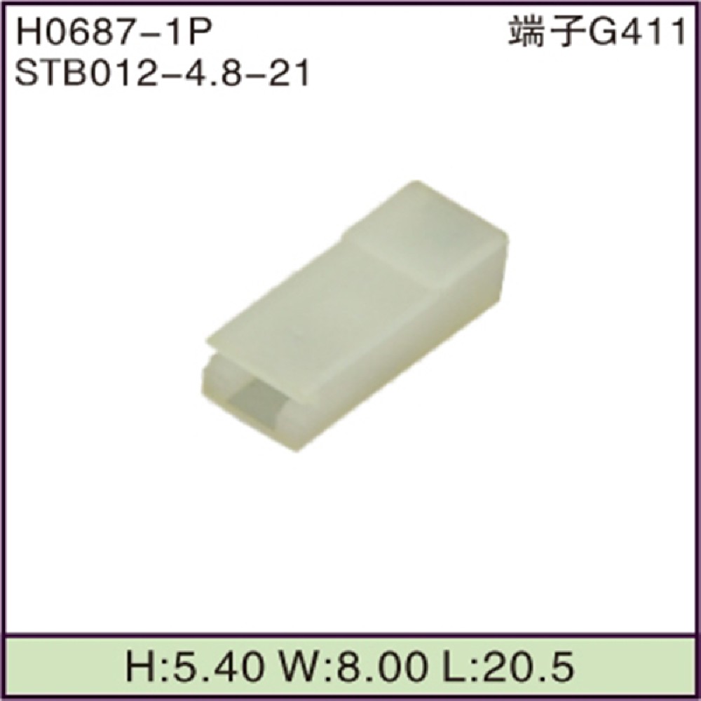 STB012-4.8-21