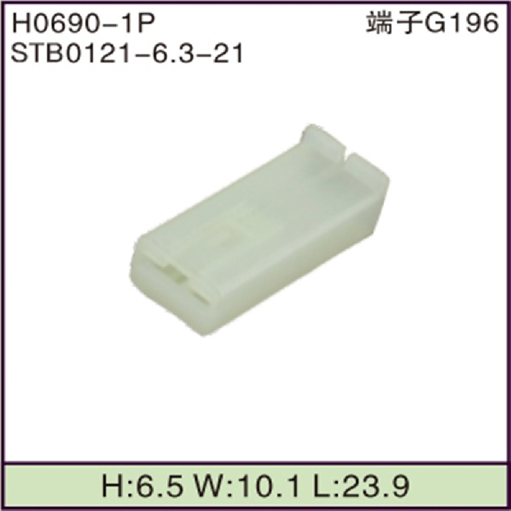 STB0121-6.3-21