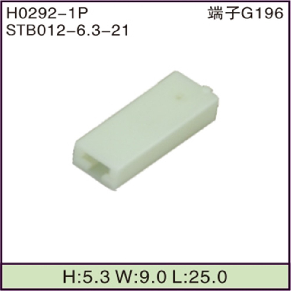 STB012-6.3-21