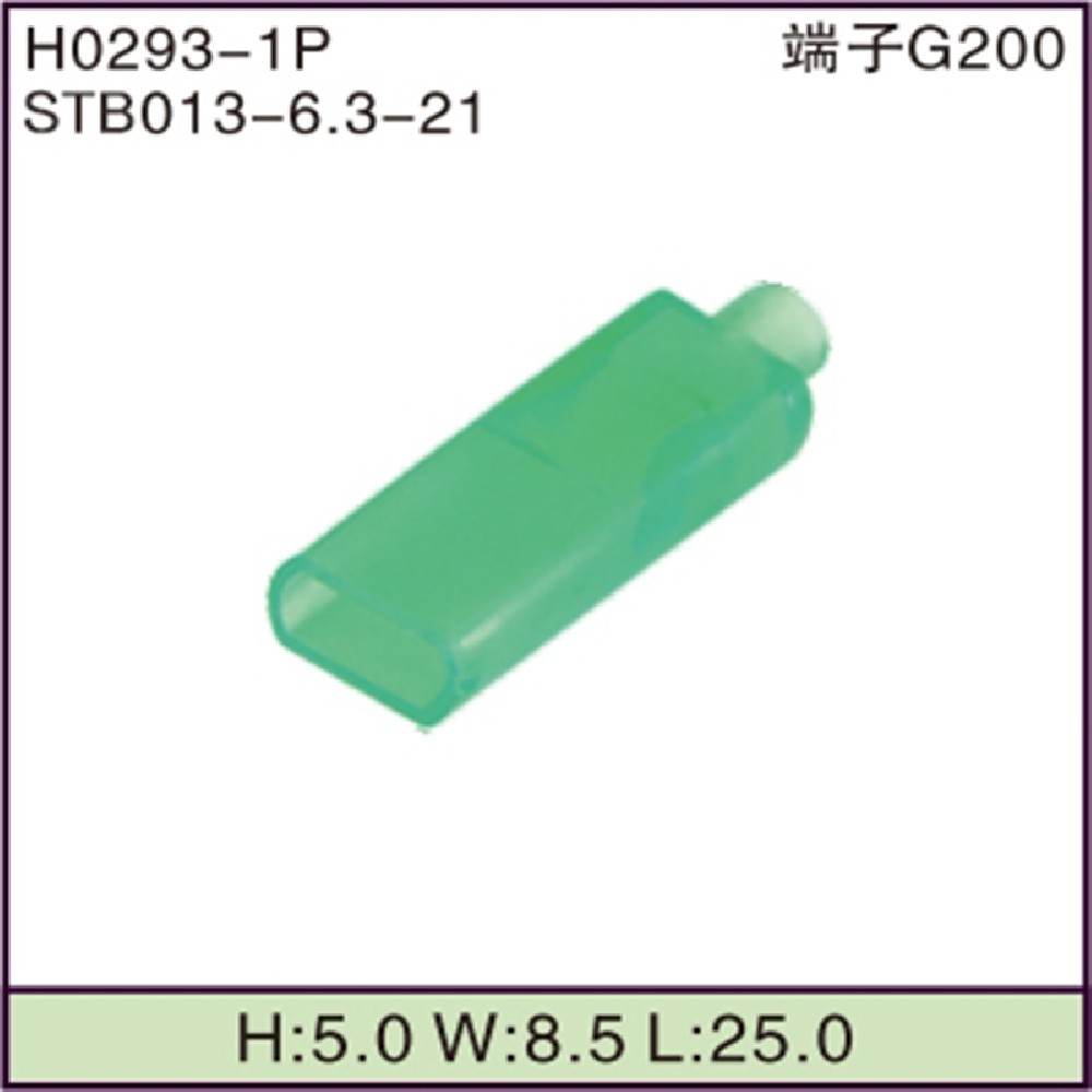 STB013-6.3-21