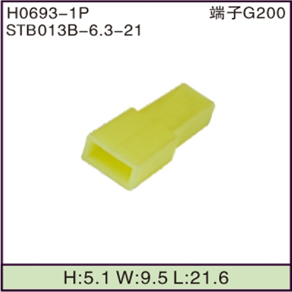 STB013B-6.3-21