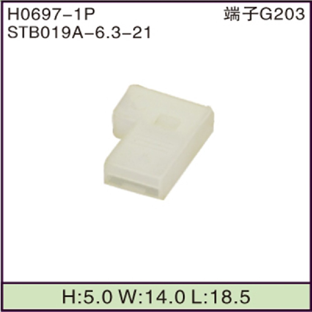 STB019A-6.3-21