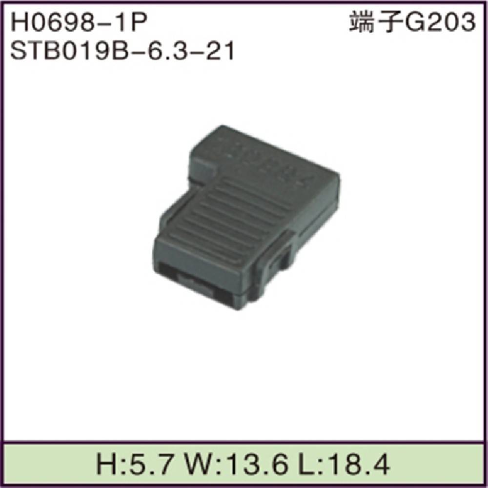 STB019B-6.3-21