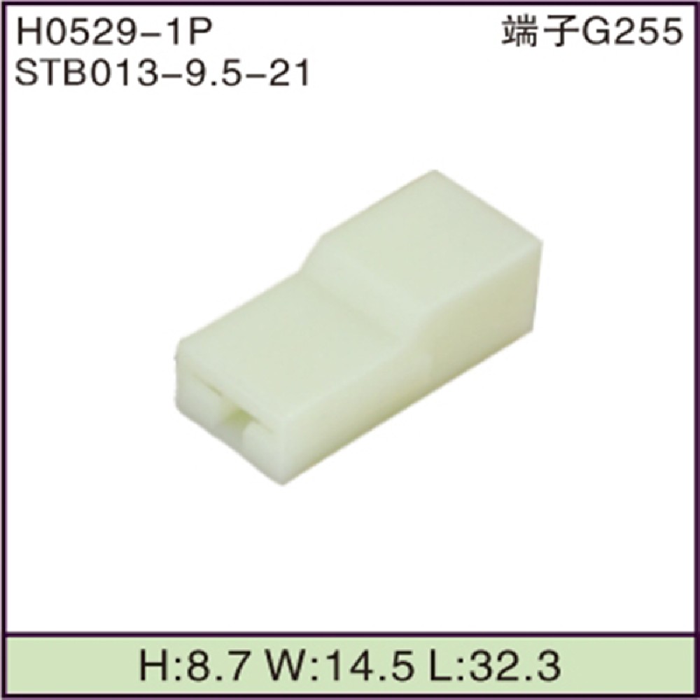 STB013-9.5-21