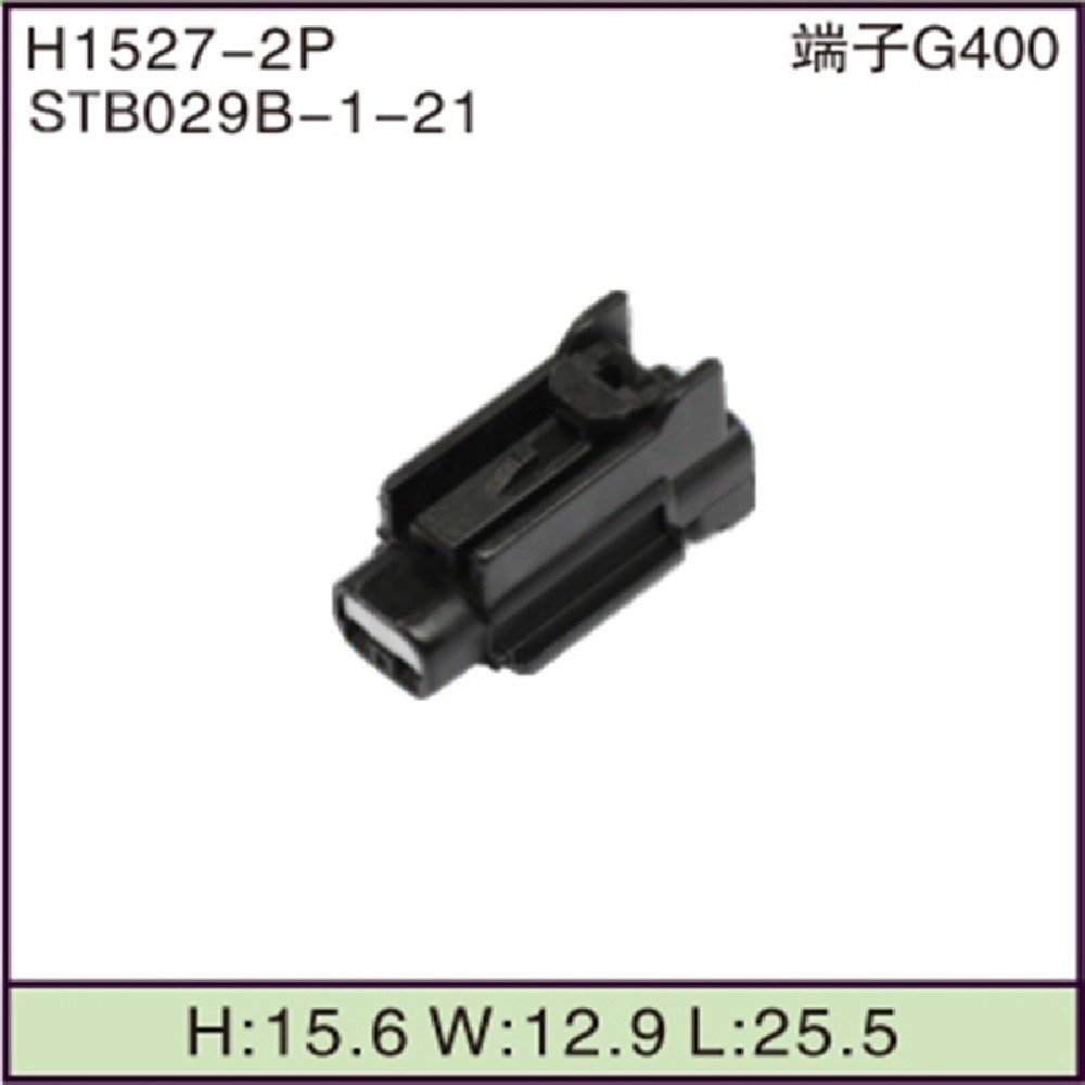 STB029B-1-21
