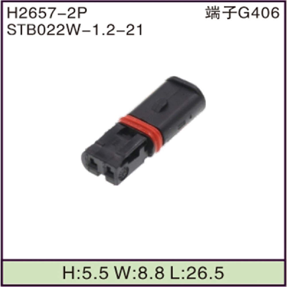 STB022W-1.2-21