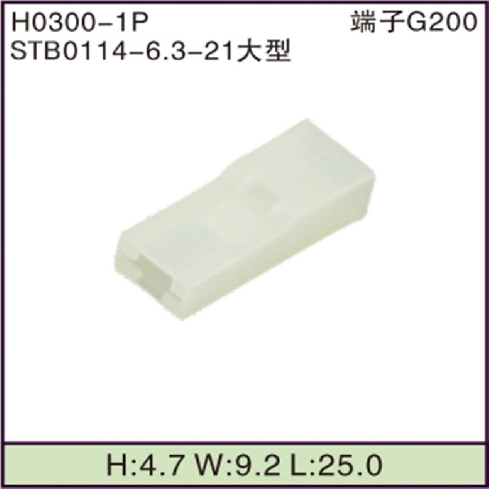 STB0114-6.3-21大型