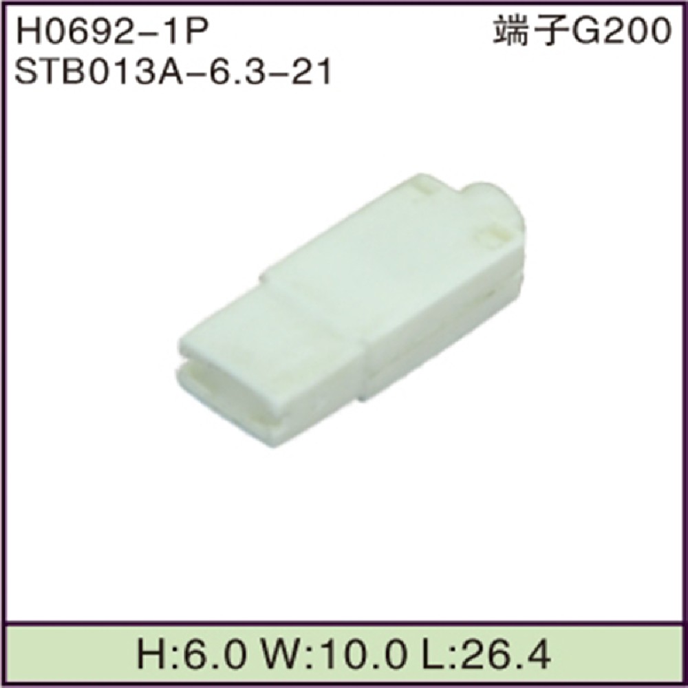 STB013A-6.3-21