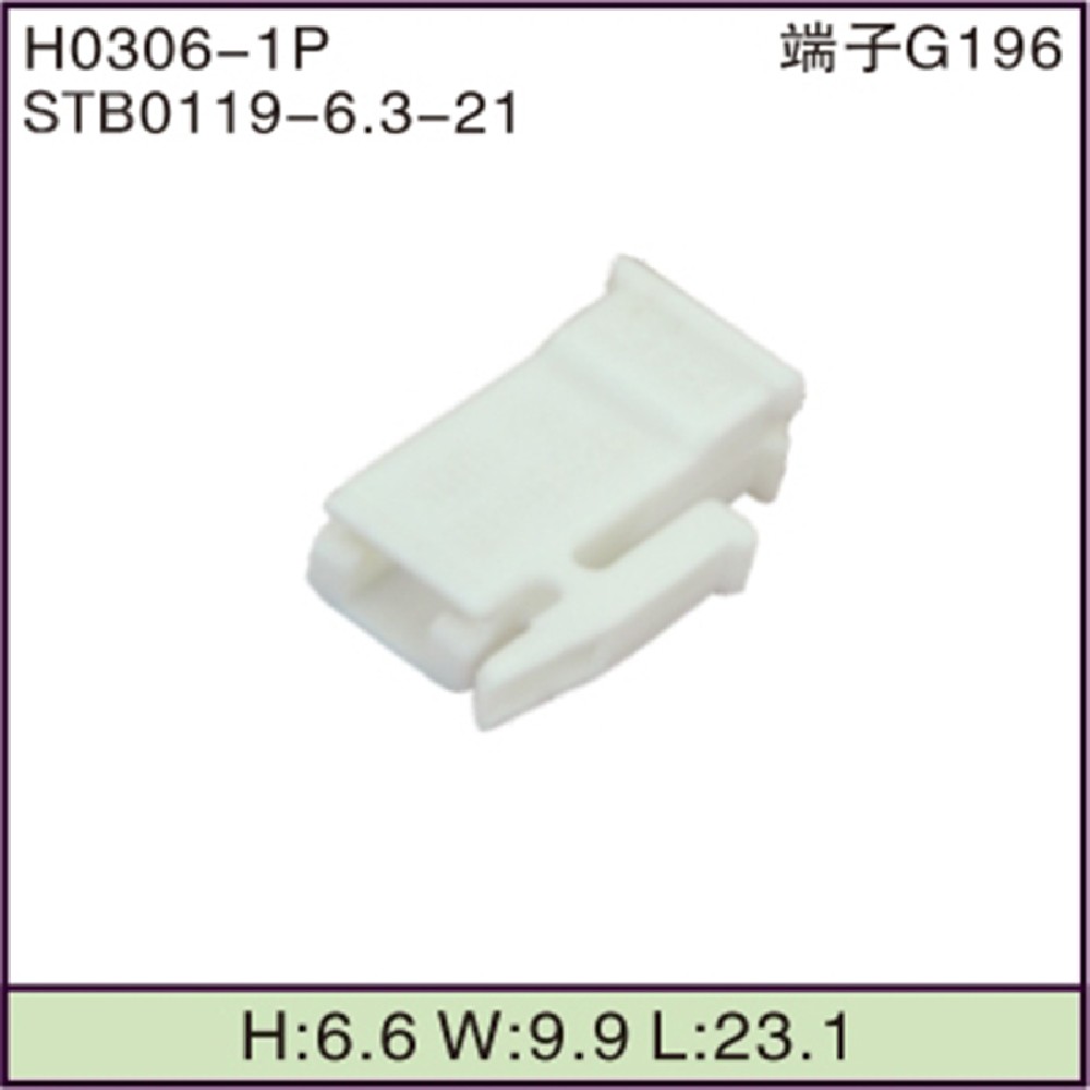 STB0119-6.3-21