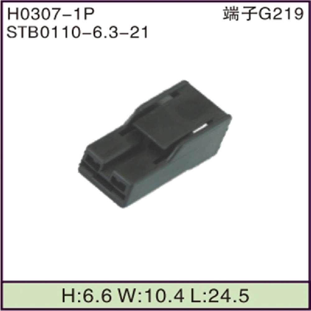 STB0110-6.3-21