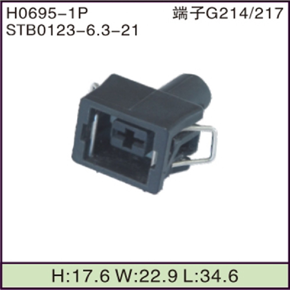 STB0123-6.3-21