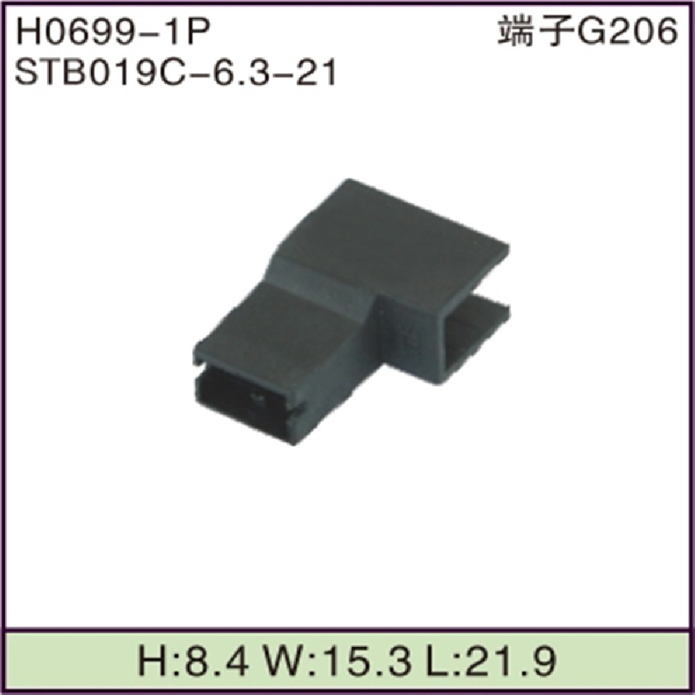 STB019C-6.3-21