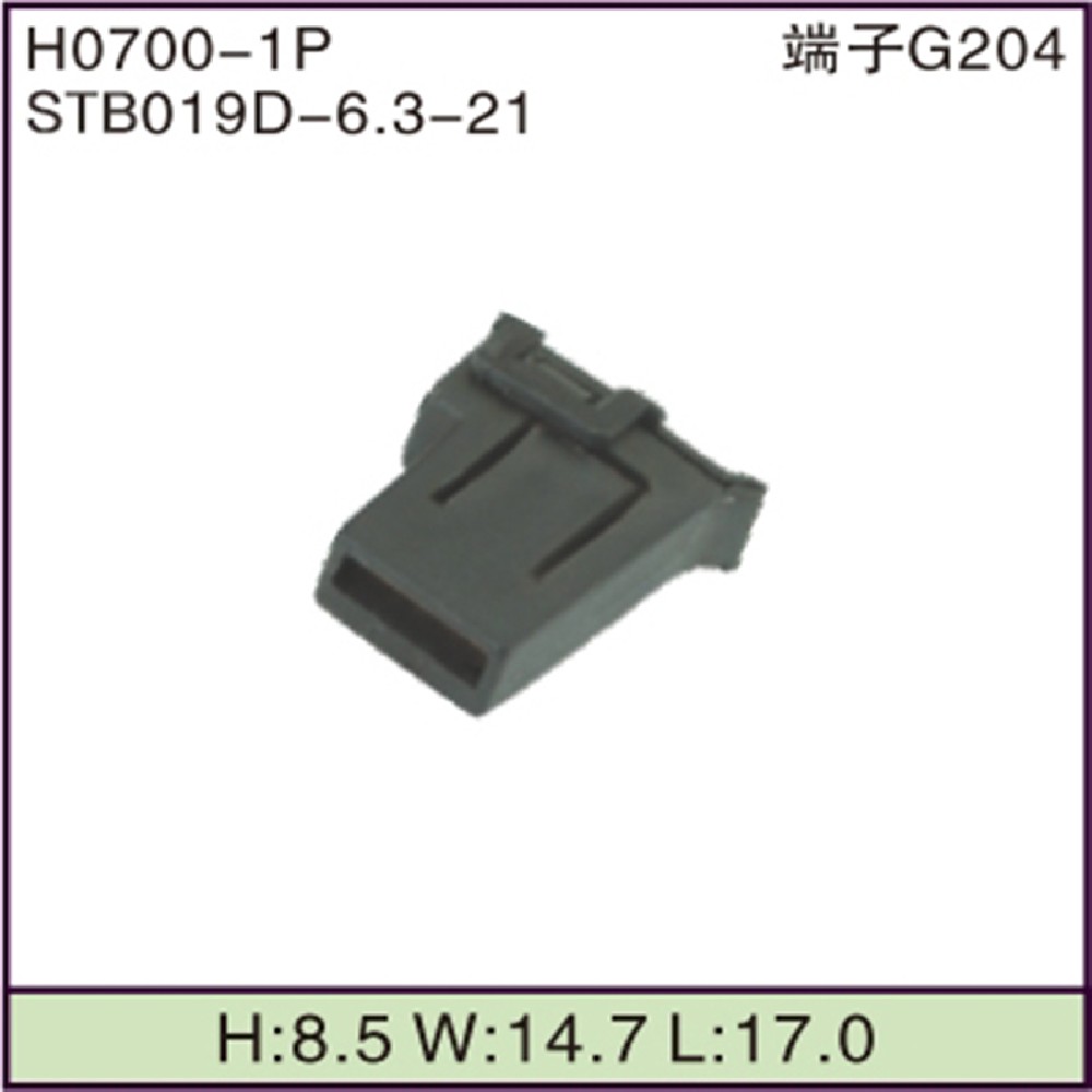 STB019D-6.3-21