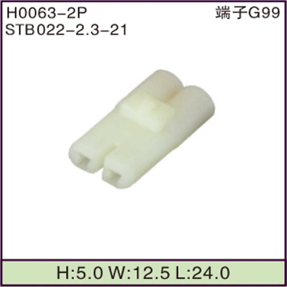 STB022-2.3-21