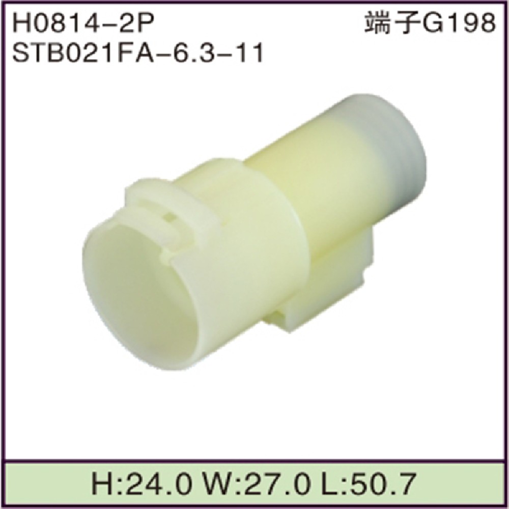 STB021FA-6.3-11