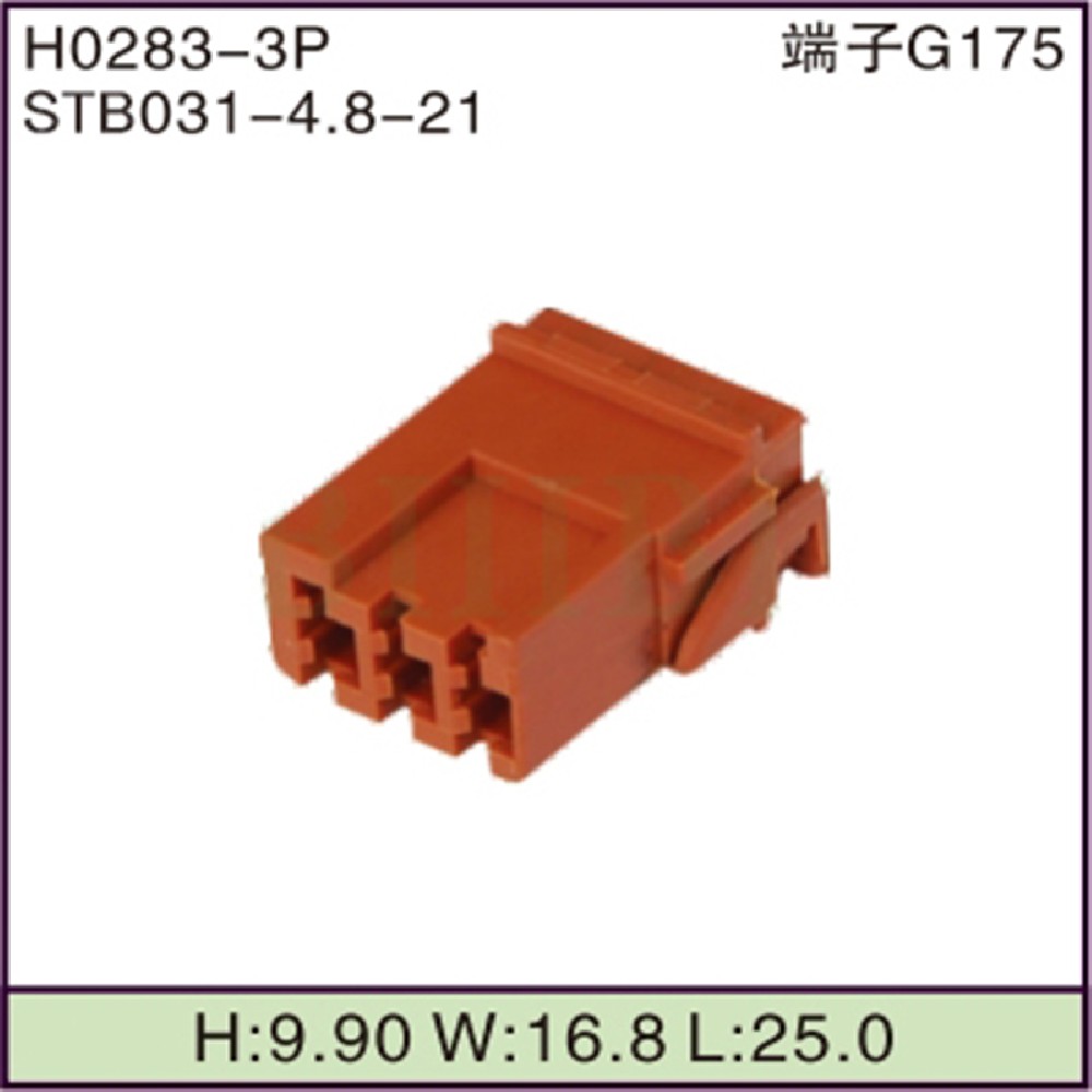 STB031-4.8-21