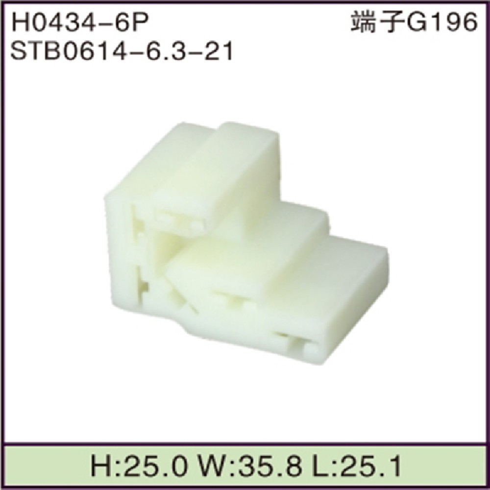 STB0614-6.3-21
