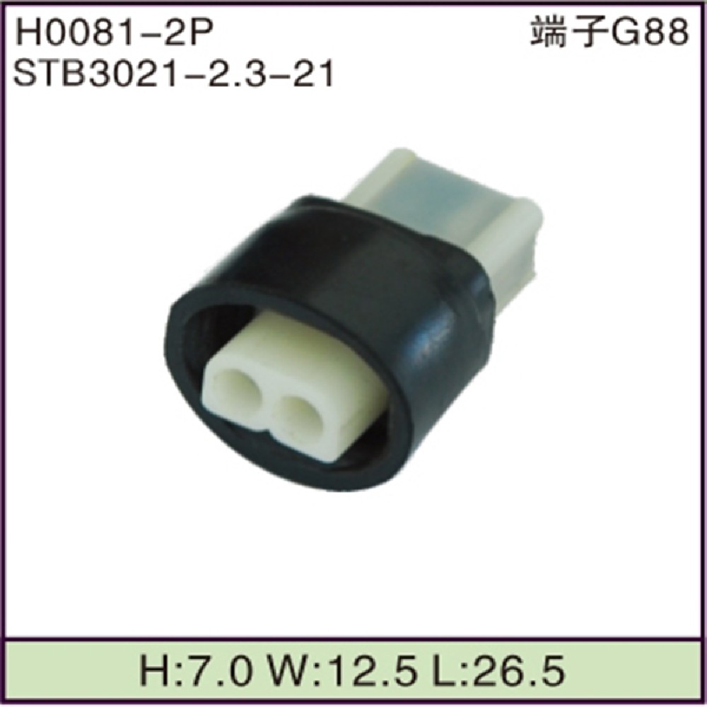 STB3021-2.3-21