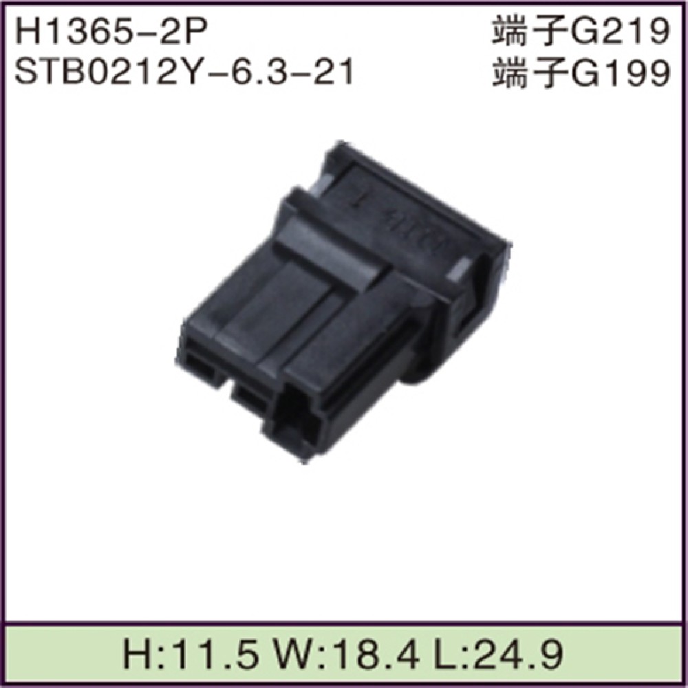 STB0212Y-6.3-21