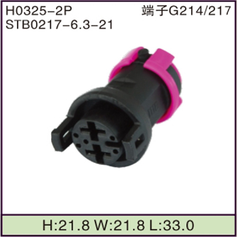STB0217-6.3-21