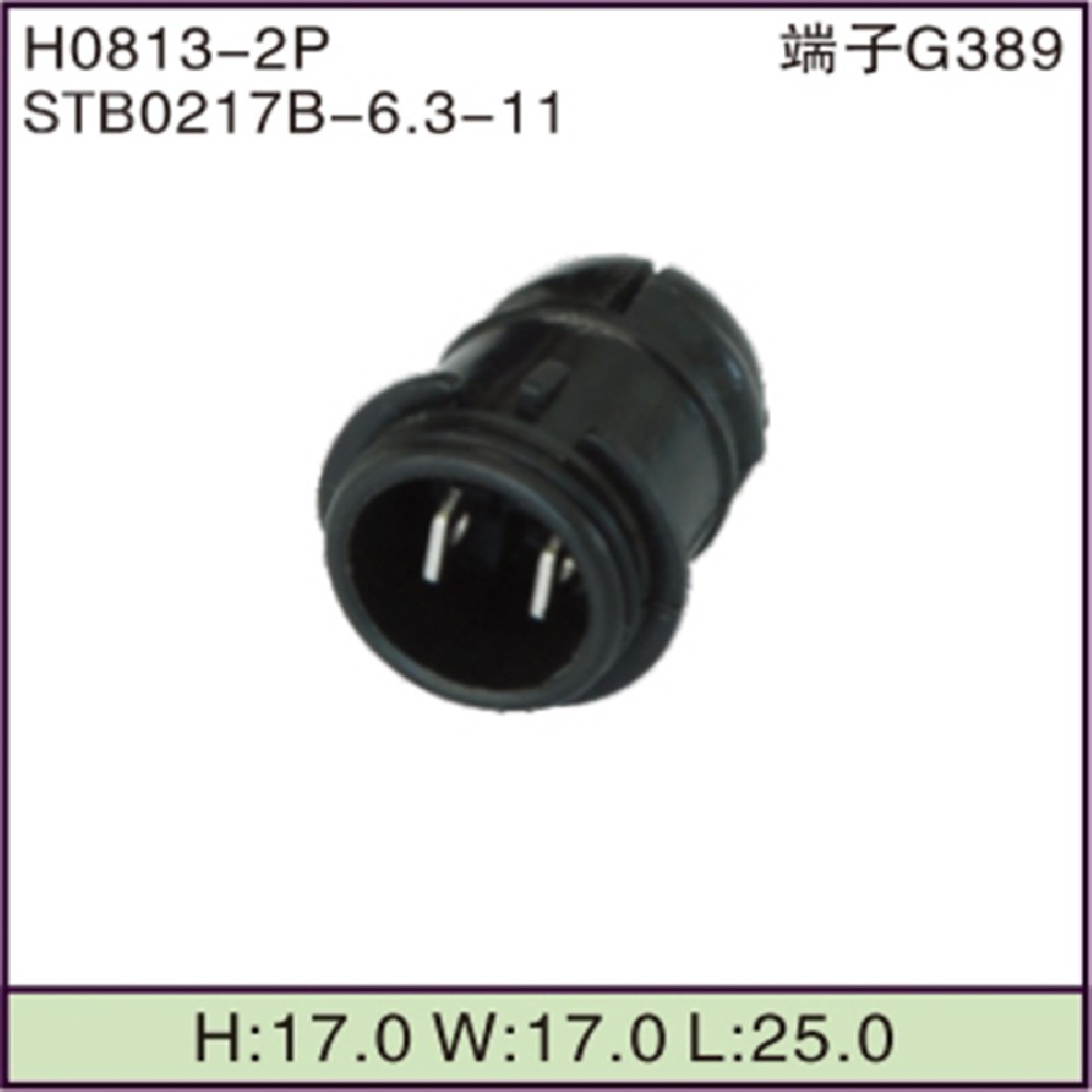 STB0217B-6.3-11