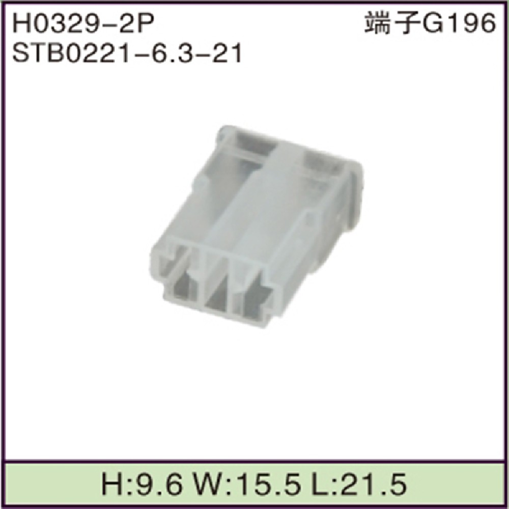STB0221-6.3-21