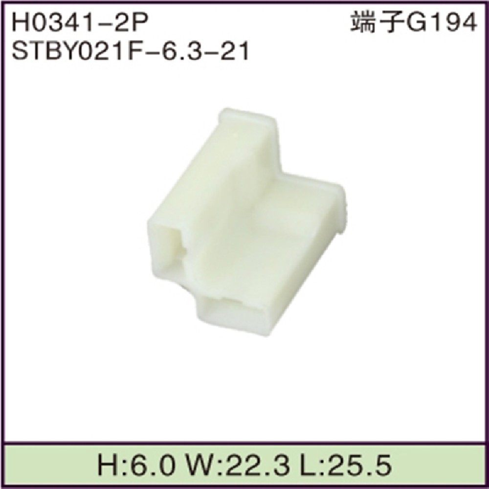 STBY021F-6.3-21