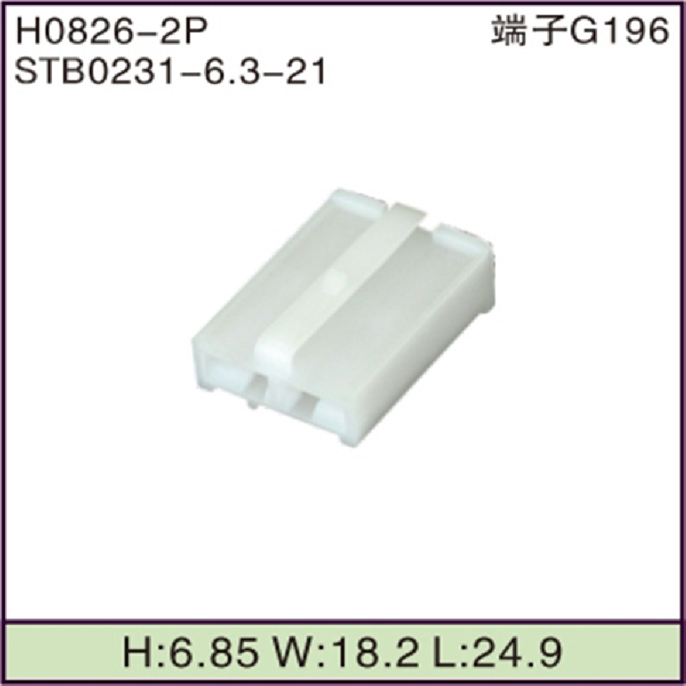 STB0231-6.3-21