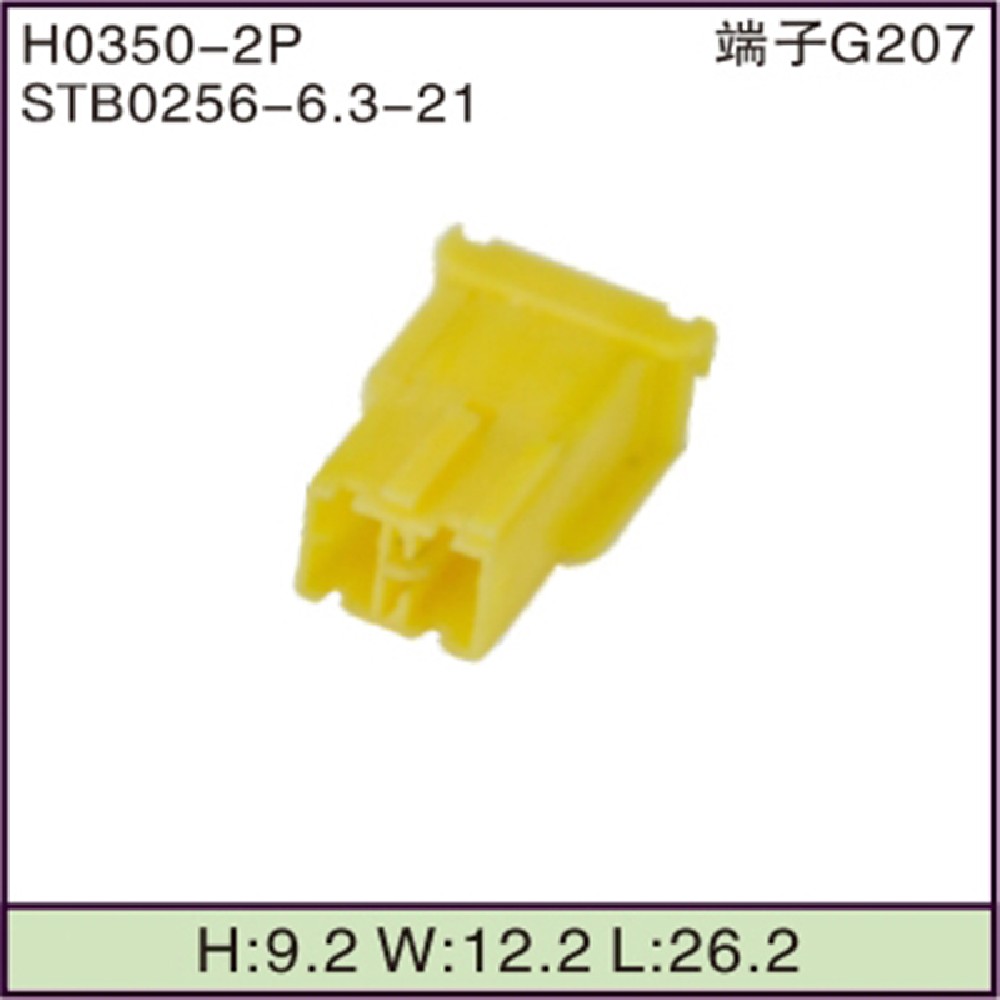 STB0256-6.3-21