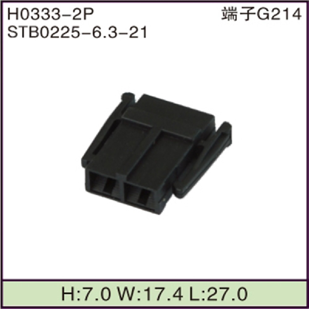 STB0225-6.3-21