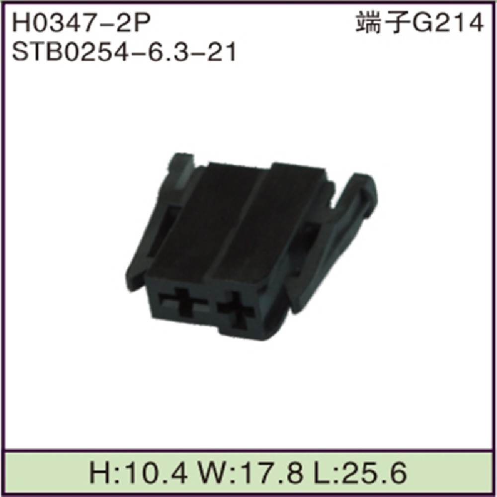 STB0254-6.3-21