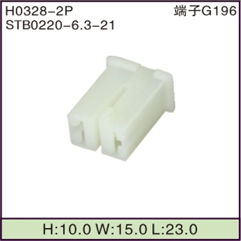 STB0220-6.3-21