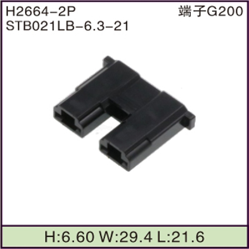 STB021LB-6.3-21