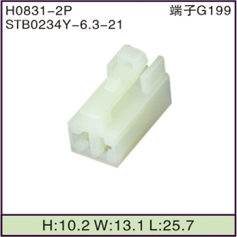 STB0234Y-6.3-21