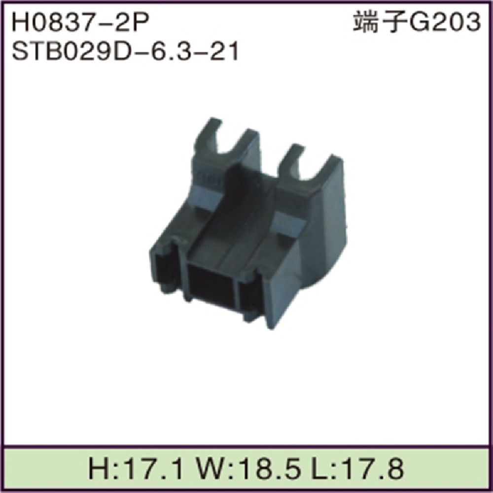 STB029D-6.3-21