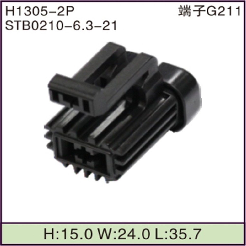 STB0210-6.3-21