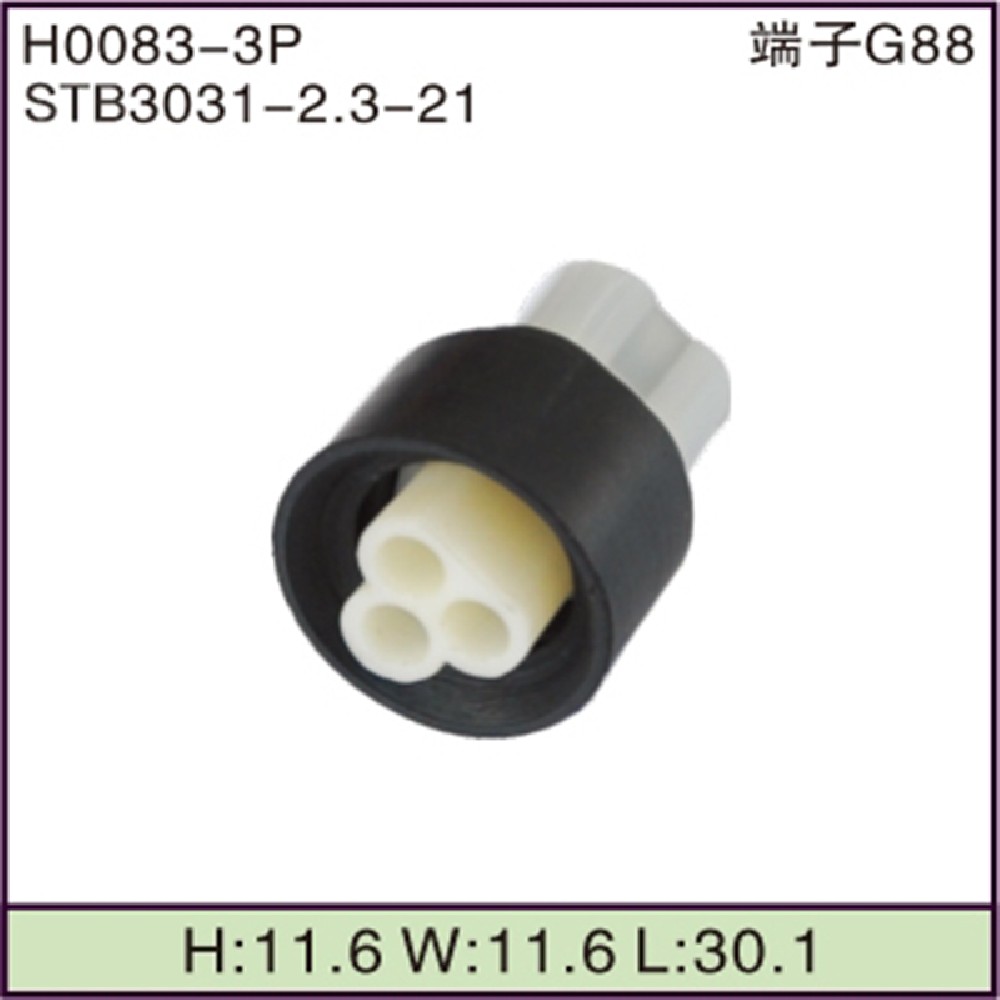 STB3031-2.3-21