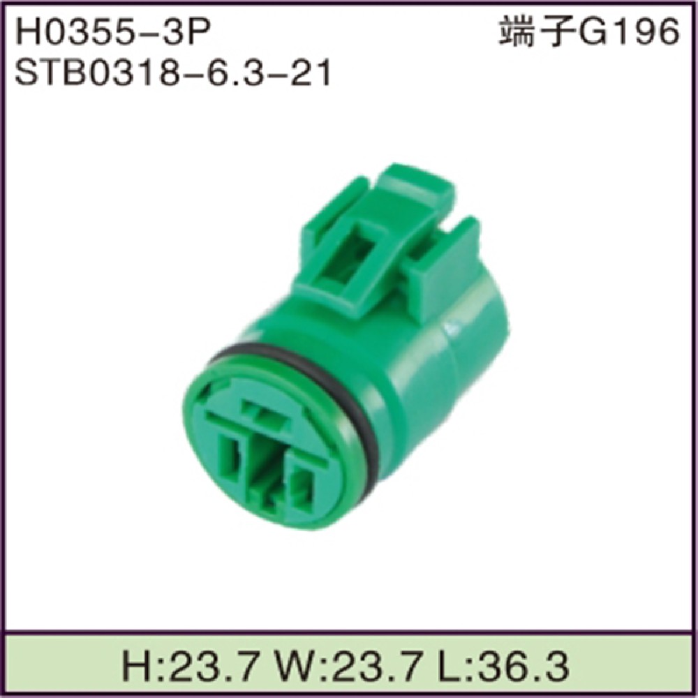 STB0318-6.3-21