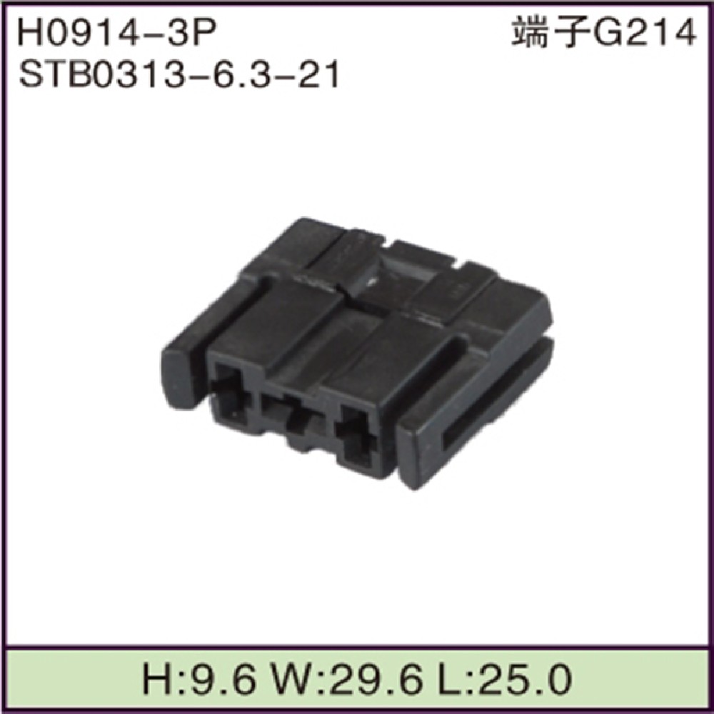 STB0313-6.3-21
