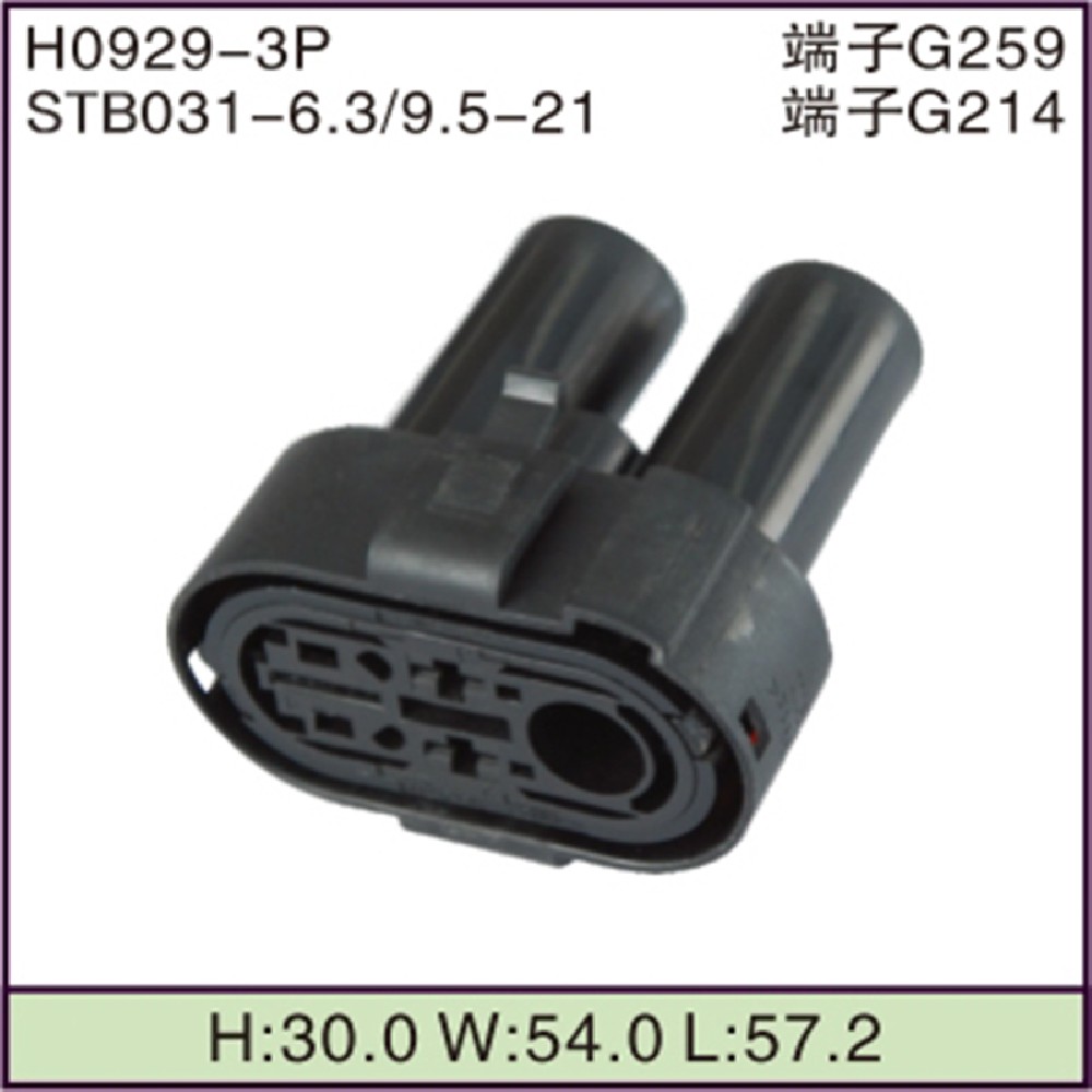 STB031-6.3/9.5-21