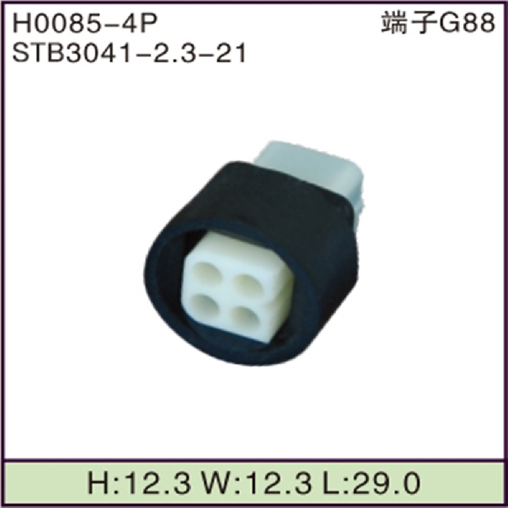 STB3041-2.3-21