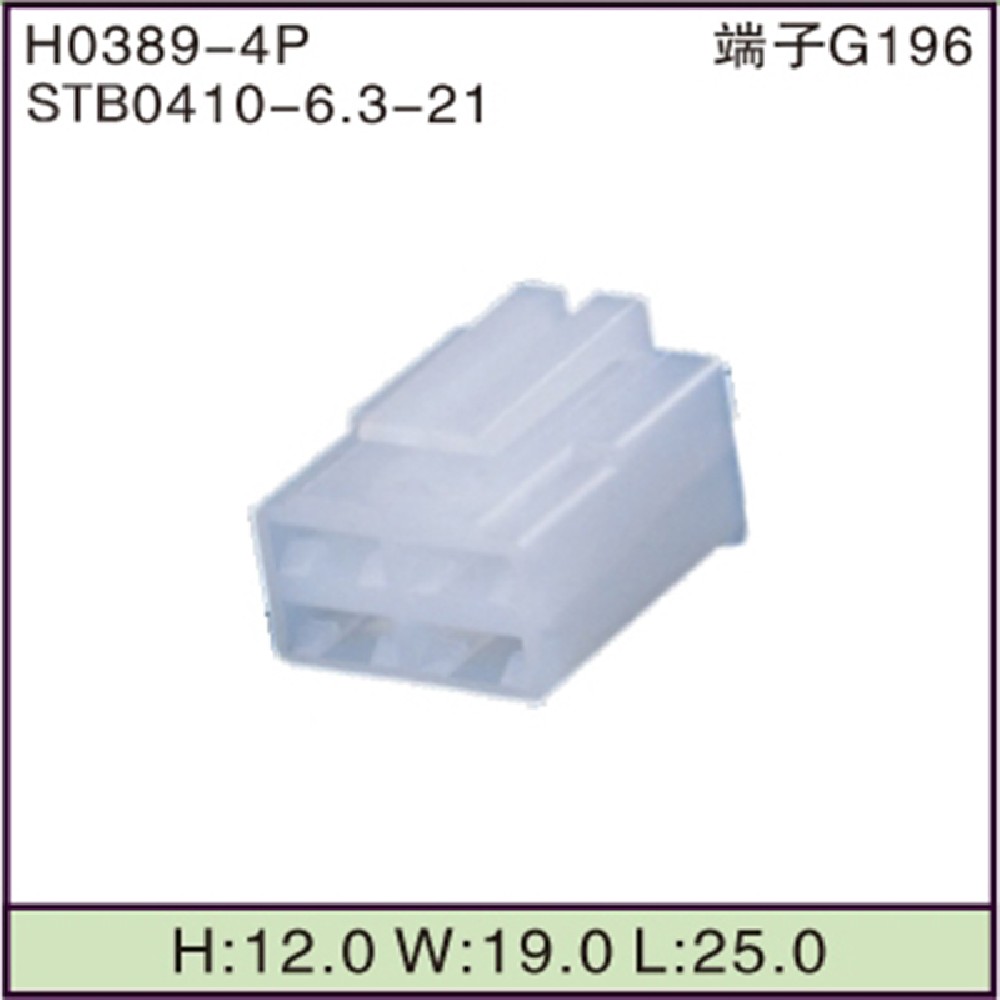 STB0410-6.3-21