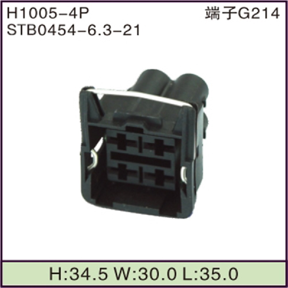 STB0454-6.3-21