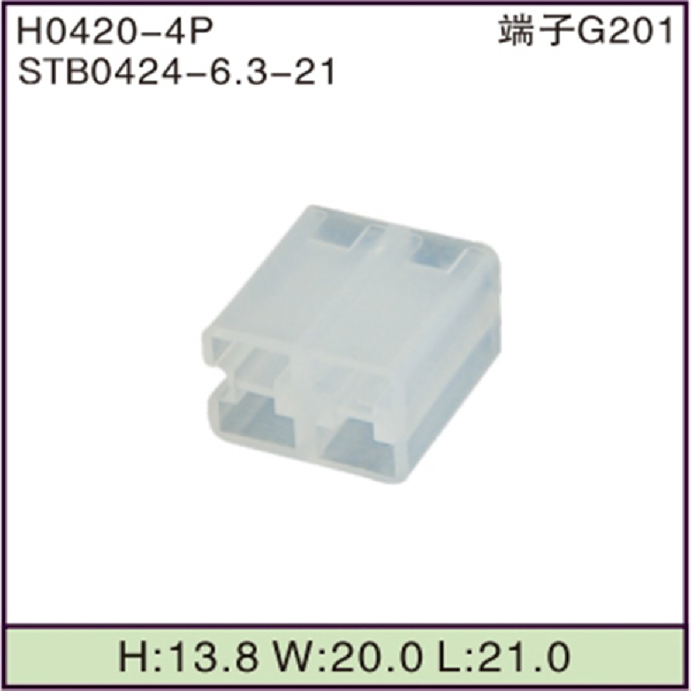 STB0424-6.3-21