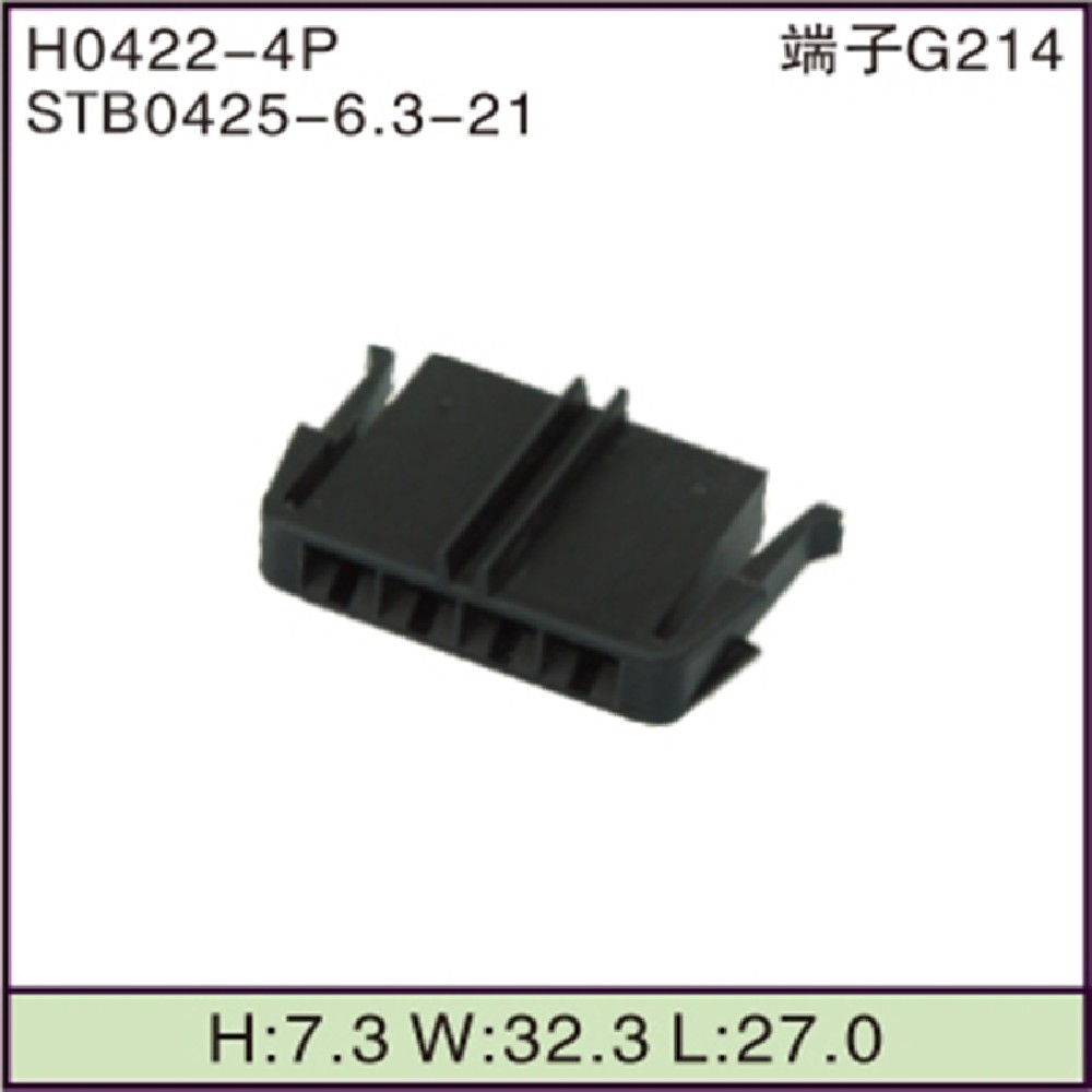 STB0425-6.3-21