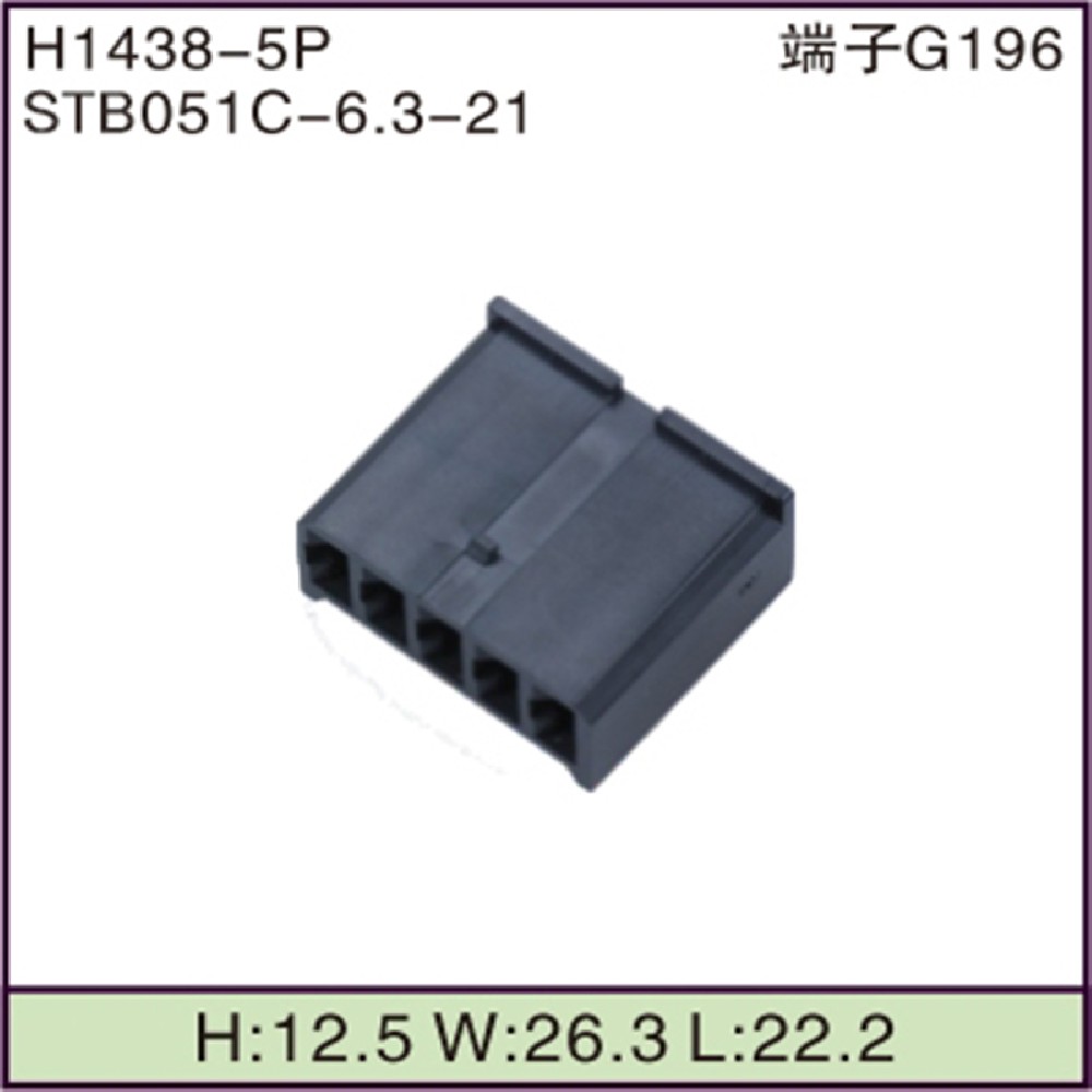 STB051C-6.3-21