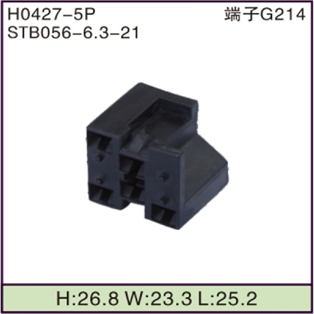 STB056-6.3-21