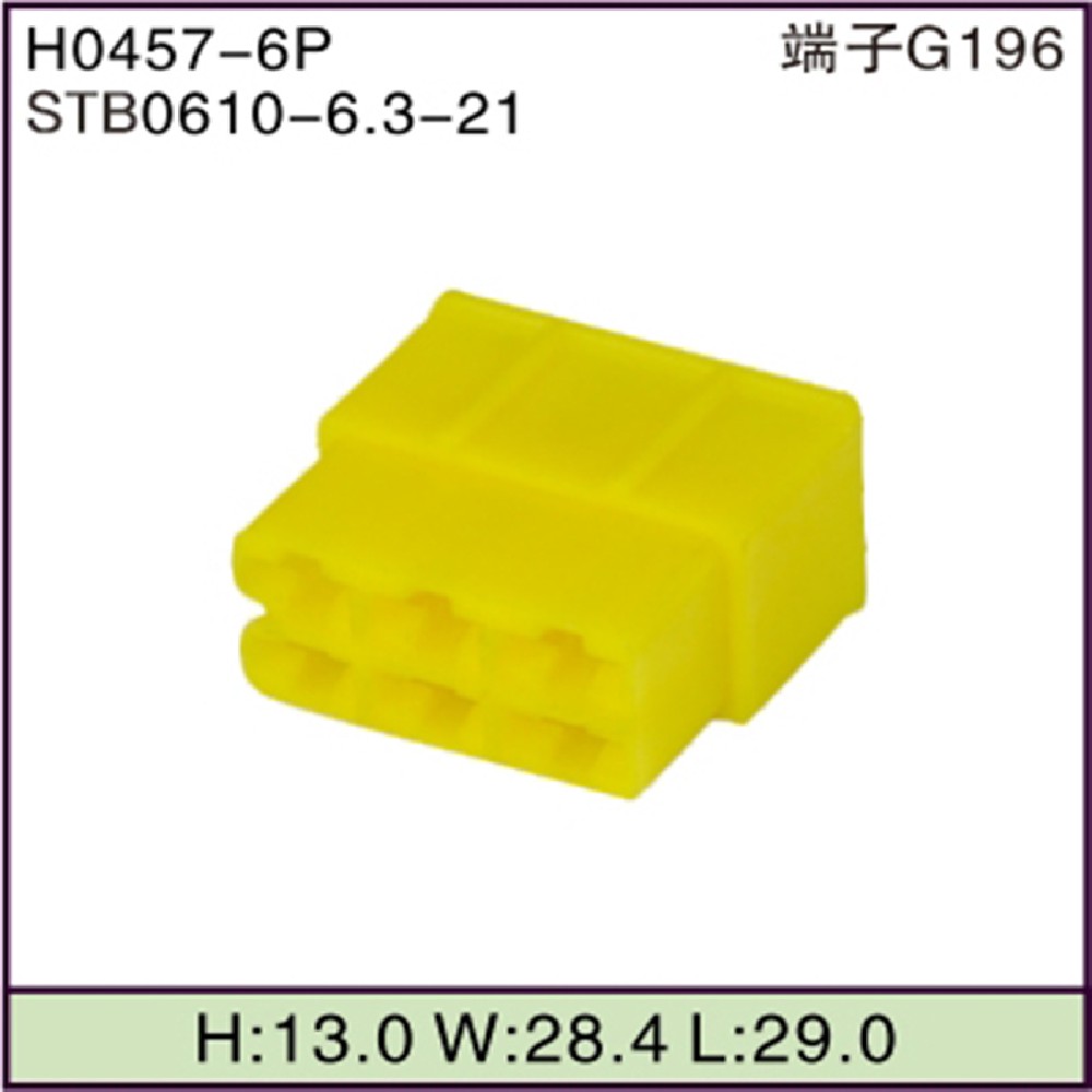 STB0610-6.3-21