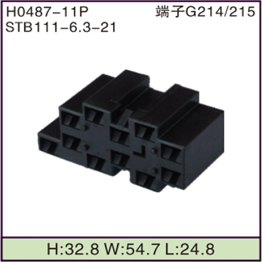 STB111-6.3-21