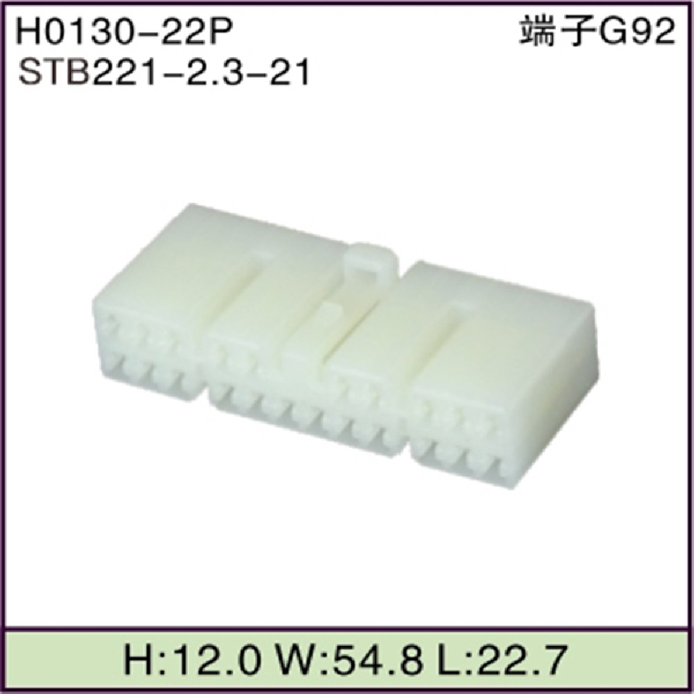 STB221-2.3-21